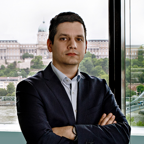 Szűcs Gergely PHD